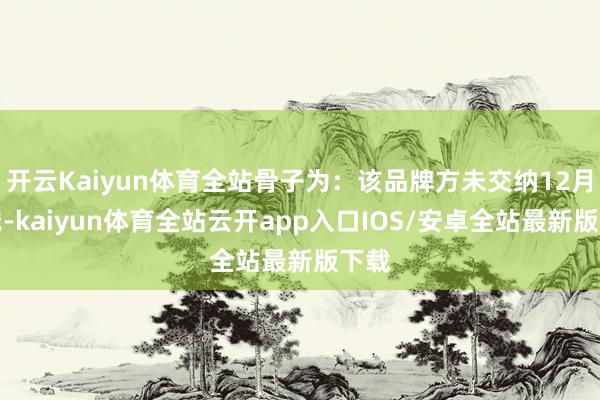 开云Kaiyun体育全站骨子为：该品牌方未交纳12月房钱-kaiyun体育全站云开app入口IOS/安卓全站最新版下载