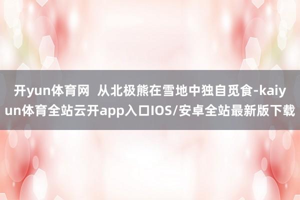 开yun体育网  从北极熊在雪地中独自觅食-kaiyun体育全站云开app入口IOS/安卓全站最新版下载