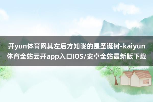 开yun体育网其左后方知晓的是圣诞树-kaiyun体育全站云开app入口IOS/安卓全站最新版下载