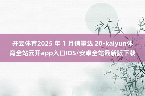 开云体育2025 年 1 月销量达 20-kaiyun体育全站云开app入口IOS/安卓全站最新版下载