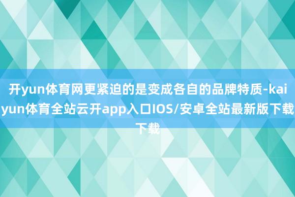 开yun体育网更紧迫的是变成各自的品牌特质-kaiyun体育全站云开app入口IOS/安卓全站最新版下载