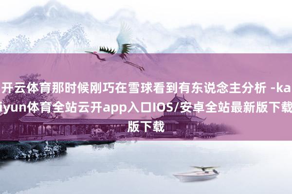 开云体育那时候刚巧在雪球看到有东说念主分析 -kaiyun体育全站云开app入口IOS/安卓全站最新版下载