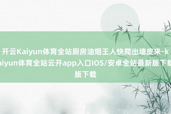 开云Kaiyun体育全站厨房油烟王人快爬出墙皮来-kaiyun体育全站云开app入口IOS/安卓全站最新版下载