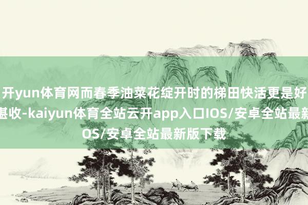 开yun体育网而春季油菜花绽开时的梯田快活更是好意思不堪收-kaiyun体育全站云开app入口IOS/安卓全站最新版下载