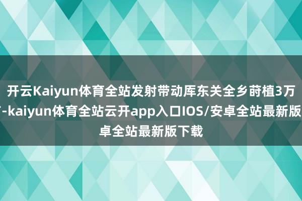 开云Kaiyun体育全站发射带动厍东关全乡莳植3万余亩-kaiyun体育全站云开app入口IOS/安卓全站最新版下载