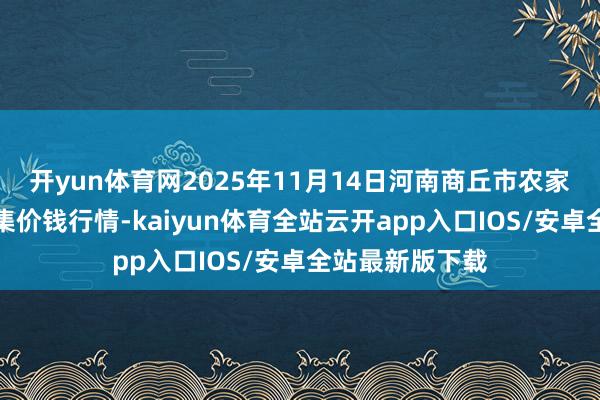 开yun体育网2025年11月14日河南商丘市农家具中心批发市集价钱行情-kaiyun体育全站云开app入口IOS/安卓全站最新版下载